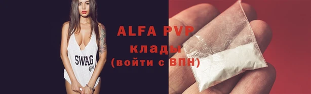стафф Навашино