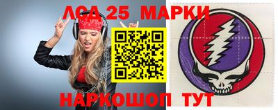 гидра Камышлов