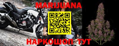 гидра Камышлов