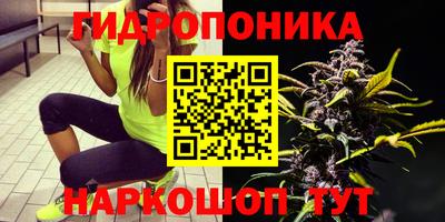 мет Кандалакша