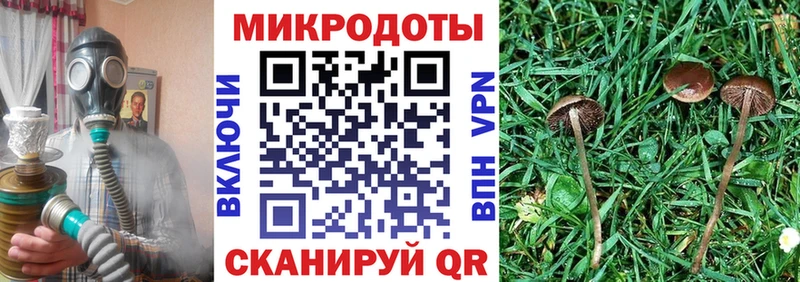Галлюциногенные грибы Magic Shrooms  Майский 