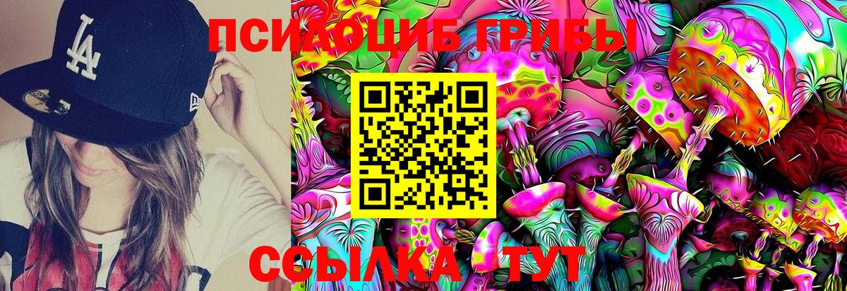 Псилоцибиновые грибы Psilocybine cubensis Майский