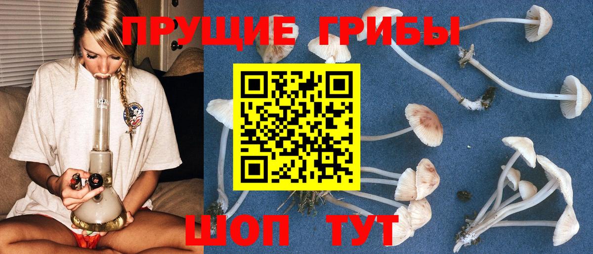 Майский  как найти закладки  Псилоцибиновые грибы Psilocybe  Вход с VPN  Галлюциногенные грибы Cubensis 