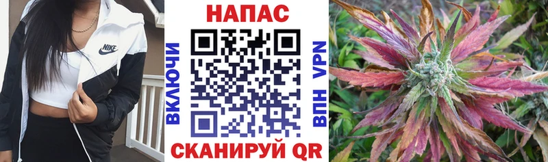 Марихуана ГИДРОПОН Майский
